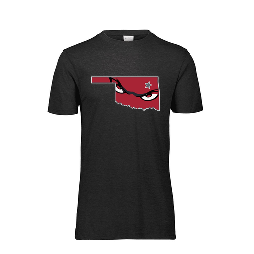 [FTSCUBBK-AS-LOGO2] Decker Men's Tri-Blend T-Shirt - Short Sleeve (Adult S, Black, Logo 2)