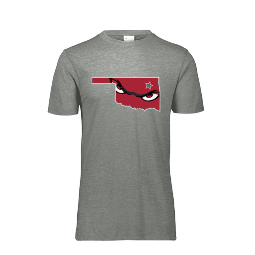 [FTSCUBGY-AS-LOGO2] Decker Men's Tri-Blend T-Shirt - Short Sleeve (Adult S, Gray, Logo 2)